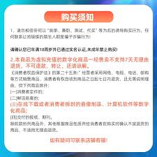 soul虚拟伴侣是做什么的