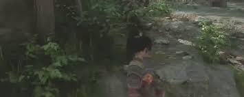 明末渊虚之羽树桥是什么