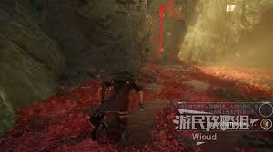 光与影33号远征队多才多艺怎么获取