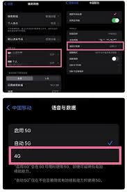 苹果12如何开启5g网络