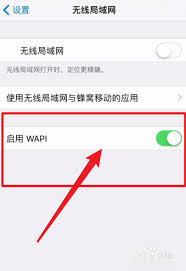 苹果手机中wapi是什么意思