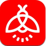 火萤动态壁纸最新版