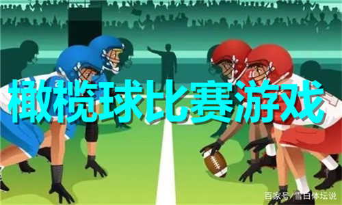 橄榄球比赛游戏大全