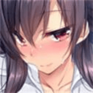 room安卓版