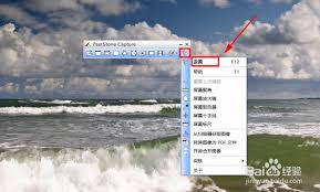 FastStone Capture分辨率如何设置