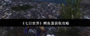 七日世界如何获取鳄鱼蛋
