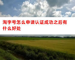 如何申请淘字号