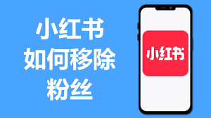 小红书怎么移除粉丝