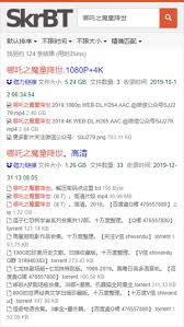 skrbt搜索引擎入口地址是什么