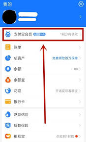 如何在支付宝查看积分兑换记录