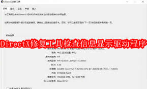 DirectX修复工具怎样检查信息显示驱动程序