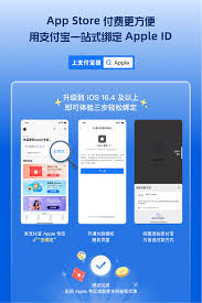 支付宝个人ID在哪里查看