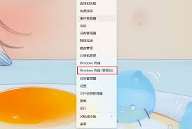 win11无法访问指定设备路径和文件的原因