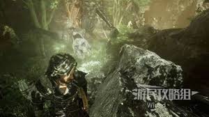 光与影33号远征队帽匠结怎么获取