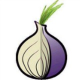 torbrowser洋葱浏览器免费版