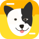 猫狗翻译神器官网版