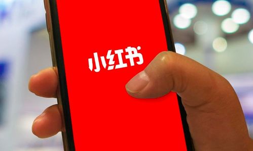 小红书代购限流解决方案
