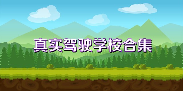 真实驾驶学校合集