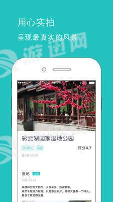 鱼游手机版