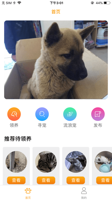 宠爱社安卓版