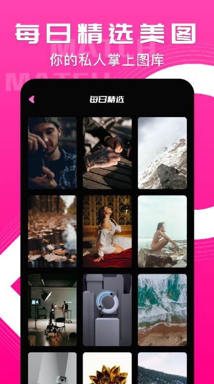 小鸟主题壁纸官网版