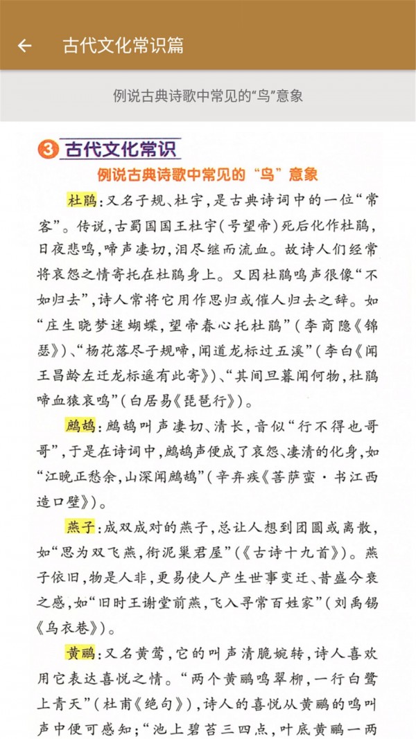 九年级语文帮手机版