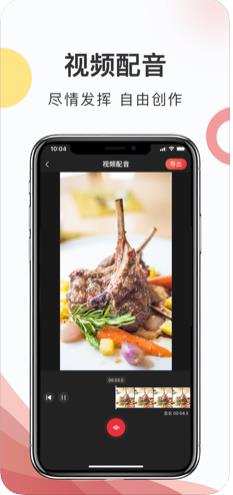 马赛克相机Pro官网版