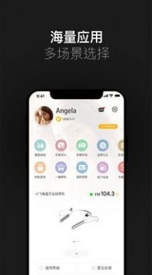 小飞鱼车载语音助手