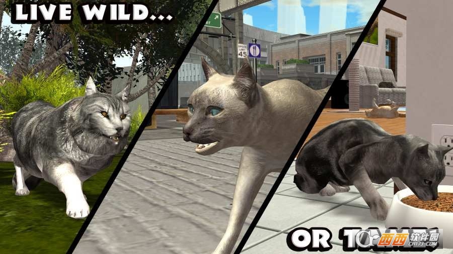 终极猫咪模拟器安卓版