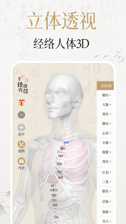 中济经络穴位官网版