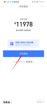 乐花借钱总额度如何查询