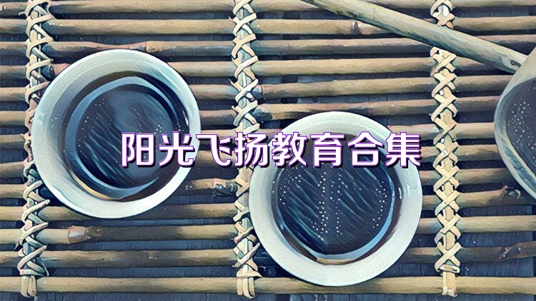 阳光飞扬教育合集