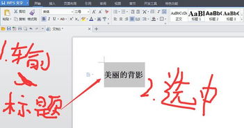 如何在WPS中加粗文字光标