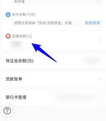 小红书千帆如何查看收支明细