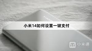 小米14如何快速设置一键支付功能