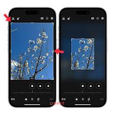 iOS17小技巧：如何在编辑iPhone照片时快速裁剪