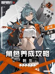 新月同行刺灰最强阵容搭配攻略