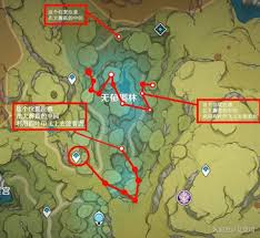 原神树王圣体菇在哪里采集