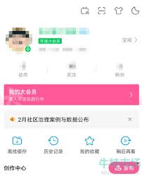 b站年度小会员是什么意思