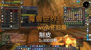 魔兽世界怀旧服剥皮1