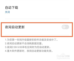 真我RealmeGT6系统自动更新怎么关闭