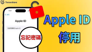 如何解决无法验证AppleID账户的问题