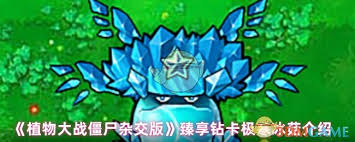 植物大战僵尸杂交版臻享钻卡极寒冰菇厉害吗