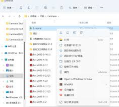 Camtasia文件移动后打不开怎么办