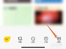 飞猪里程在哪看