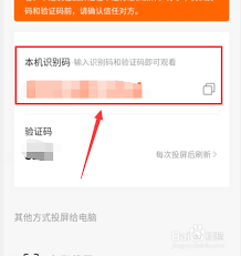 手机版向日葵远程控制如何查看识别码
