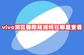 vivo浏览器隐藏视频位置在哪