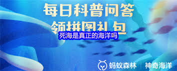 死海是真正的海洋吗