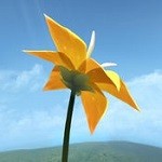 陈星汉花官网版