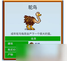 星露谷物语中鸵鸟如何获取